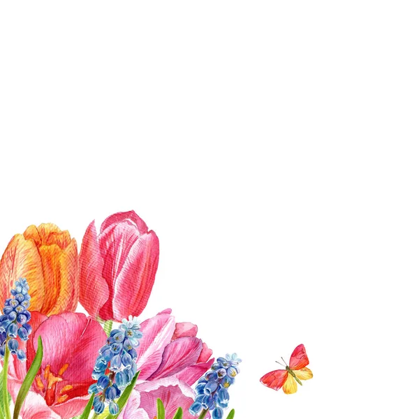 Floraler Hintergrund Handgezeichnete Aquarell Tulpen Und Muscari Kann Für Einladungen — Stockfoto