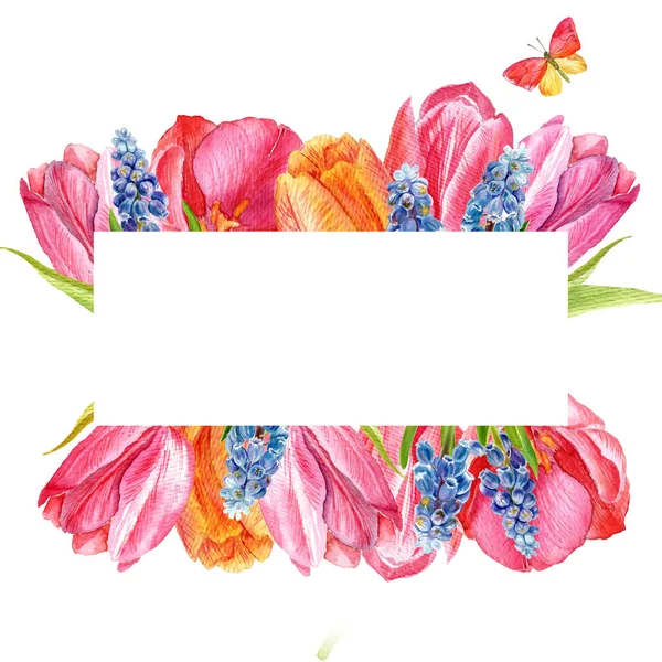 Florale Achtergrond Hand Getrokken Aquarel Tulpen Muscari Kan Worden Gebruikt — Stockfoto