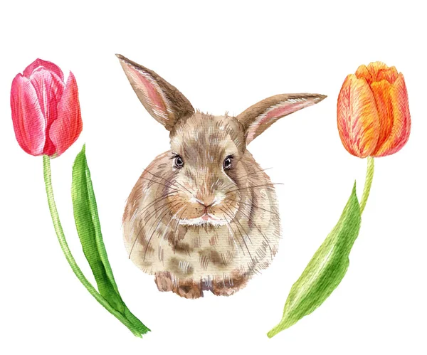 Mon Doux Lapin Aquarelle Printemps Lapin Illustration Lapin Fleurs Papillons — Photo