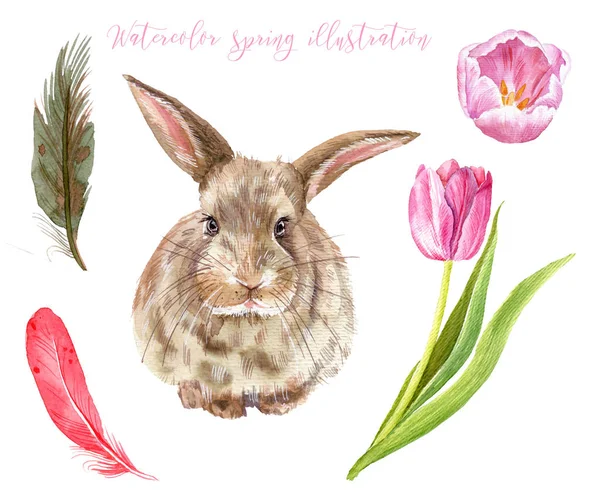 Мой Милый Кролик Акварель Весенняя Иллюстрация Кролика Кролик Цветы Бабочки — стоковое фото