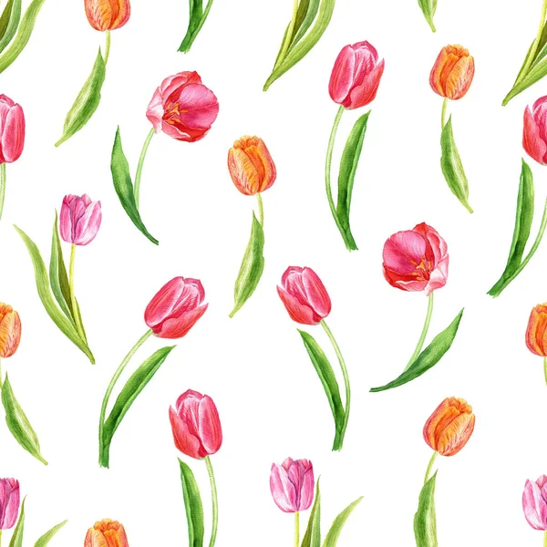 Seamless pattern with tulips on a white background. Botanical watercolor illustration. Suitable for fabric, cards, wrapping paper, paper, scrapbooking and other