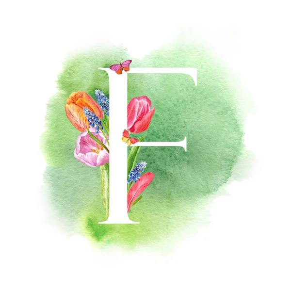 Letter F. A letter of the alphabet with spring flowers, muscari tulips, for invitations, cards, weddings and more.