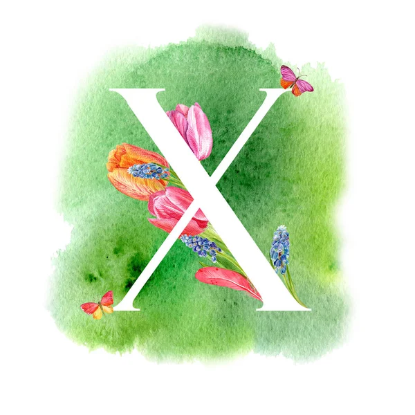 Letter X. A letter of the alphabet with spring flowers, muscari tulips, for invitations, cards, weddings and more.