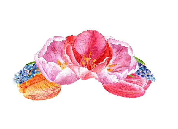 Blumenarrangement Aus Tulpen Und Muscari Frühlingsblumen Mit Aquarell Bemalt — Stockfoto