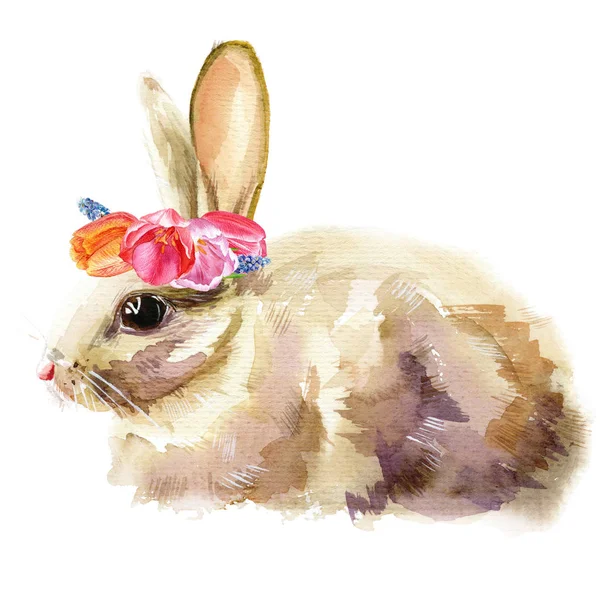Kanin Målade Med Vattenfärg Med Blommig Krans Huvudet Söt Våren — Stockfoto