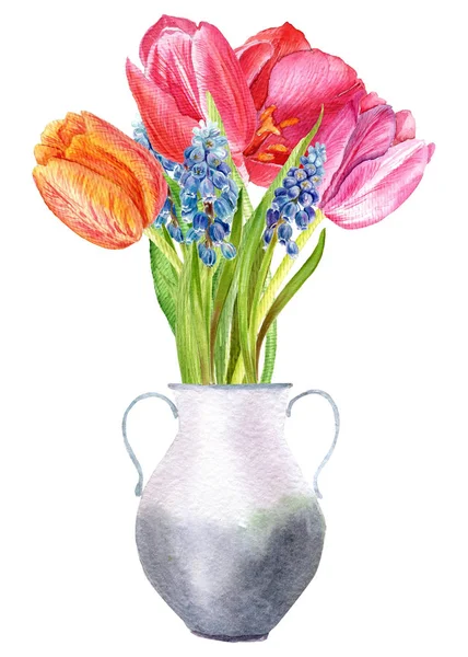 Bouquet Von Tulpen Und Muscari Frühlingsblumen Mit Aquarell Bemalt — Stockfoto