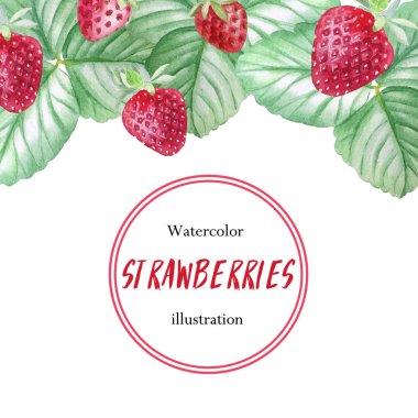 Banner çilek, olgun çilek, boyalı olarak suluboya ile. Menüler, gıda illüstrasyonlar, gıda, kozmetik, davetiyeler ve çok daha fazlası için uygundur.