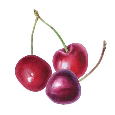 Çilek suluboya ile el ile boyanır.