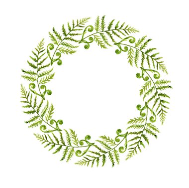 Fern yaprak beyaz bir arka plan üzerine suluboya ile boyalı. Orman otlar. Yeşil orman dalları.