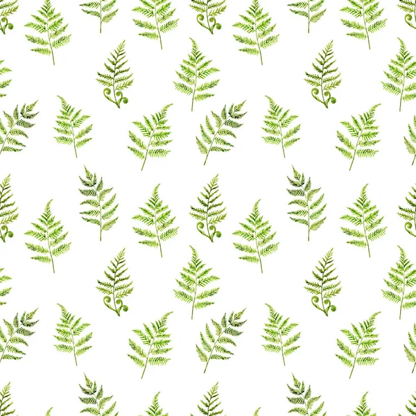 Seamless pattern with branches of fern. Hand drawing, watercolor illustration — Stock Photo, Image