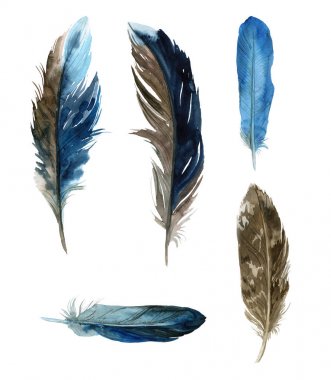 Beyaz arka planda suluboya tüyleri. Boho tarzı. Beyaz arka planda izole tüyler. Kartlar, davetiyeler, posterler, kumaşlar, giysiler için çizimler.