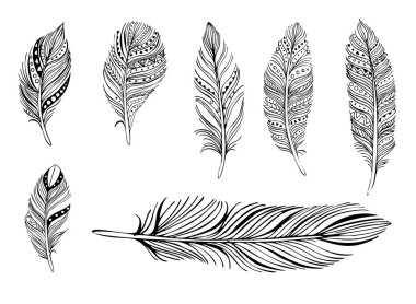 Beyaz arka planda tüyler. Boho tarzı. Beyaz arka planda izole tüyler. Kartlar, davetiyeler, posterler, kumaşlar, giysiler için çizimler.