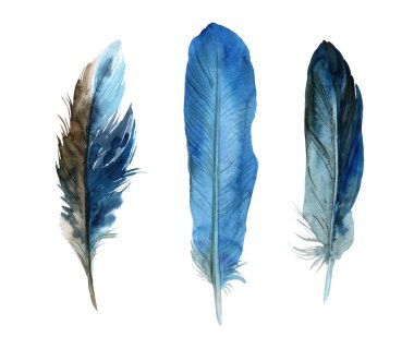 Beyaz arka planda suluboya tüyleri. Boho tarzı. Beyaz arka planda izole tüyler. Kartlar, davetiyeler, posterler, kumaşlar, giysiler için çizimler.