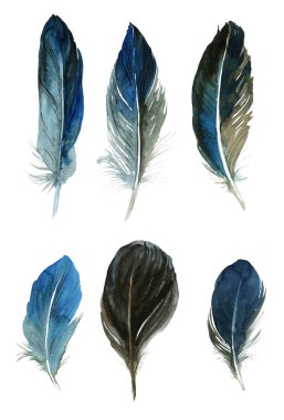 Beyaz arka planda suluboya tüyleri. Boho tarzı. Beyaz arka planda izole tüyler. Kartlar, davetiyeler, posterler, kumaşlar, giysiler için çizimler.