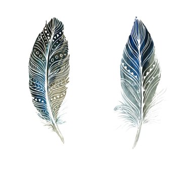 Beyaz arka planda suluboya tüyleri. Boho tarzı. Beyaz arka planda izole tüyler. Kartlar, davetiyeler, posterler, kumaşlar, giysiler için çizimler.