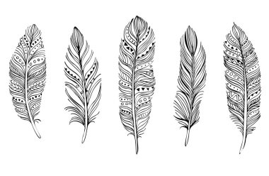 Beyaz arka planda tüyler. Boho tarzı. Beyaz arka planda izole tüyler. Kartlar, davetiyeler, posterler, kumaşlar, giysiler için çizimler.