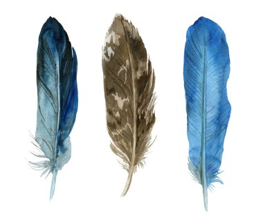 Beyaz arka planda suluboya tüyleri. Boho tarzı. Beyaz arka planda izole tüyler. Kartlar, davetiyeler, posterler, kumaşlar, giysiler için çizimler.