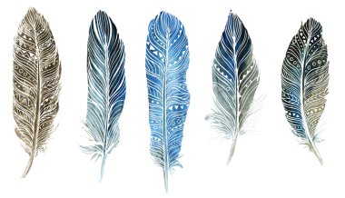 Beyaz arka planda suluboya tüyleri. Boho tarzı. Beyaz arka planda izole tüyler. Kartlar, davetiyeler, posterler, kumaşlar, giysiler için çizimler.