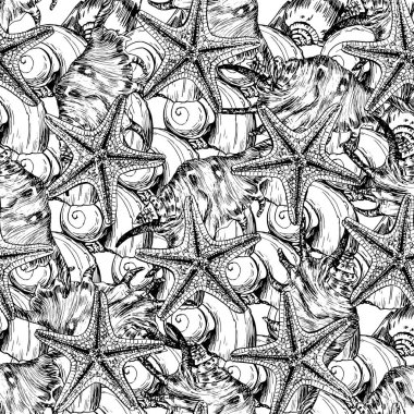 Beyaz arka planda izole edilmiş anahat deniz kabukları ile Dikişsiz desen