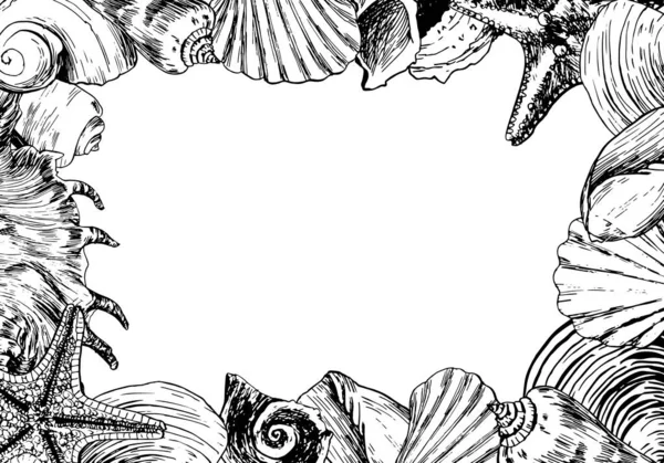 กรอบความค ดสร างสรรค เปล อกหอยทะเลและห นบนพ นหล ขาว — ภาพถ่ายสต็อก