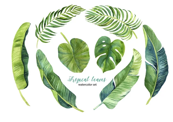 Uppsättning Akvarell Tropiska Palmblad Dragna För Hand — Stockfoto