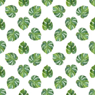 elle çizilen suluboya tropikal palmiye yaprakları seti