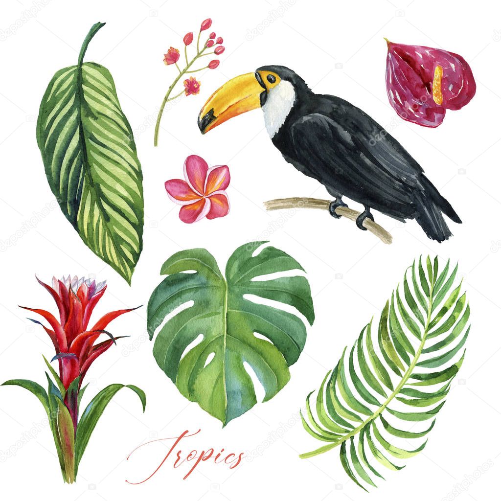  watercolor illustration of beautiful toucan bird on branch with tropical flowers and leaves isolated on white background 