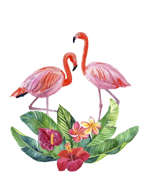 Acuarela Ilustración Hermosos Flamencos Rosados Con Flores Tropicales Hojas Aisladas —  Fotos de Stock
