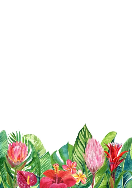 Karta Akvabarevným Obrázkem Tropických Květů Listů Izolovaných Bílém Pozadí — Stock fotografie