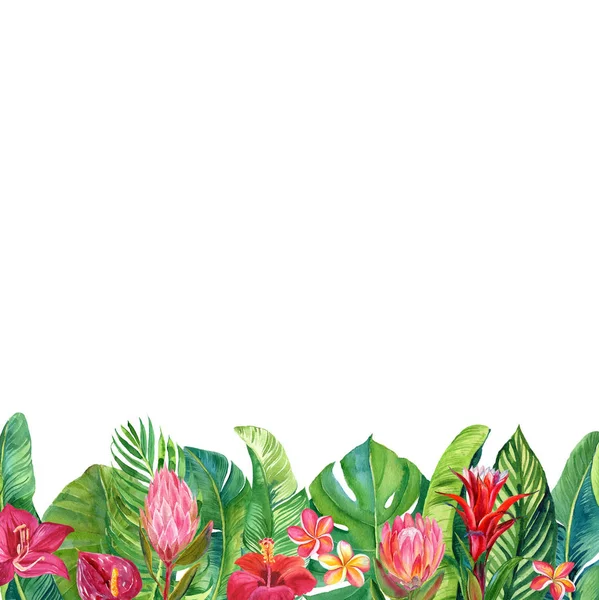 Kort Med Akvarell Illustration Tropiska Blommor Och Löv Isolerade Vit — Stockfoto