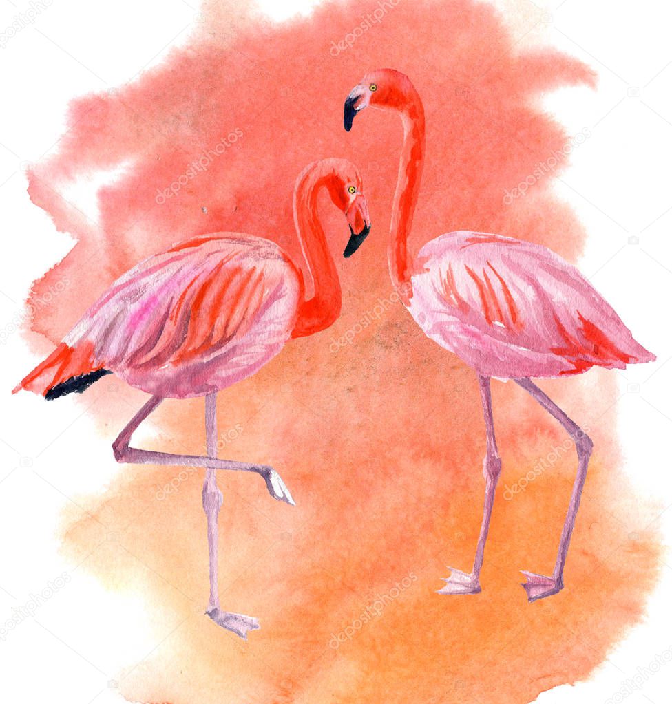card with illustration of elegant pink flamingos on blurred watercolor background