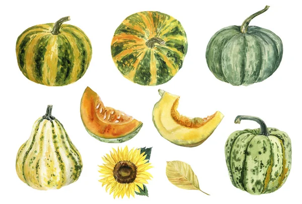 Sbírka Akvarel Tažené Dýně Slunečnice Padlým Listem Podzimní Festival Šťastná — Stock fotografie