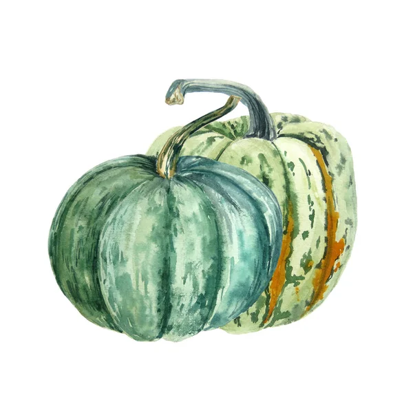 Ruční Kreslení Akvarel Podzimní Dýně Izolované Bílém Pozadí Svátek Sklizně — Stock fotografie
