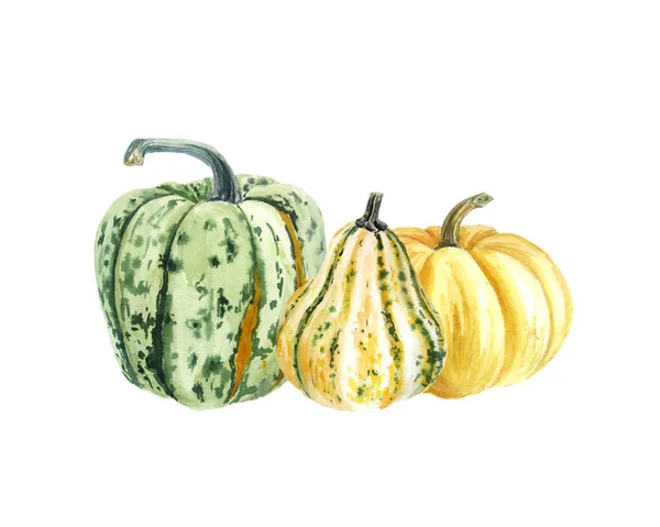 Hand Draw Watercolor Autumn Pumpkins Isolated White Background Harvest Festival — Stock Photo, Image