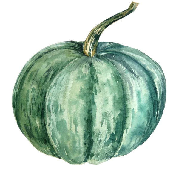 Mano Disegnare Acquerello Autunno Zucca Isolato Sfondo Bianco Festa Del — Foto Stock