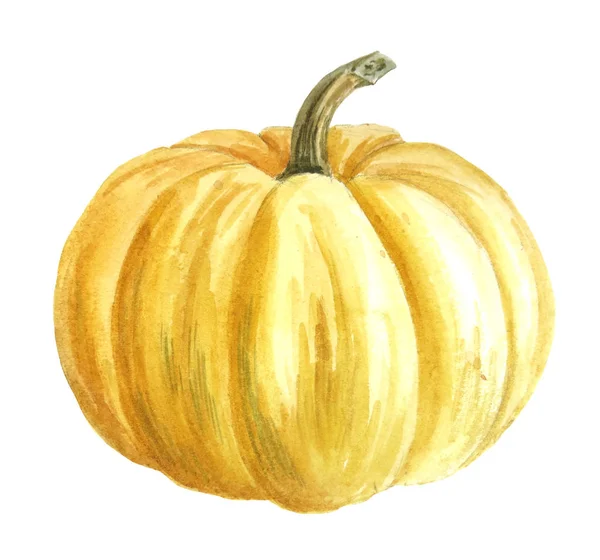 Ruční Kreslení Akvarel Podzimní Dýně Izolovaná Bílém Pozadí Svátek Sklizně — Stock fotografie