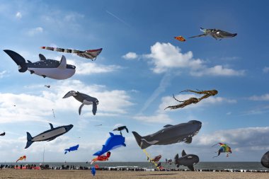 Görünüm açık ve güneşli mavi gökyüzü Lahey, Schenveningen, Hollanda üzerinde uçan uçurtma