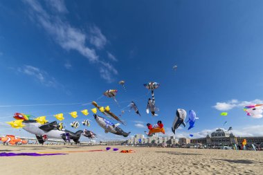 Bir açık ve güneşli mavi gökyüzünün Lahey, Schenveningen, Türkiye üzerinde uçan uçurtma görünümünü