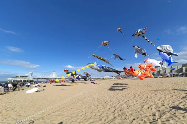 Bir açık ve güneşli mavi gökyüzünün Lahey, Schenveningen, Türkiye üzerinde uçan uçurtma görünümünü