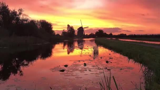 Gruppo Anatre Che Sorvolano Mulino Vento All Alba Colore Caldo — Video Stock