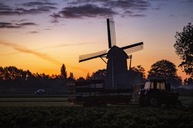 Bir yel değirmeni sıcak ve kırmızı renk gündoğumu Hazerswoude-Dorp Köyü, Hollanda, silüeti