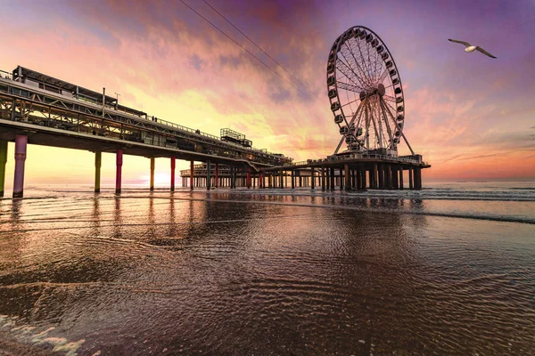 Bir günbatımı manzara plaj ve Scheveningen iskele ile kimse, hiç turist, Lahey, Hollanda 