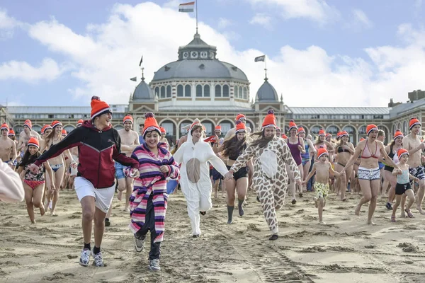 Scheveningen Januari 2018 Nederlanders Sterke Traditie Van Eerste Duik Van — Stockfoto