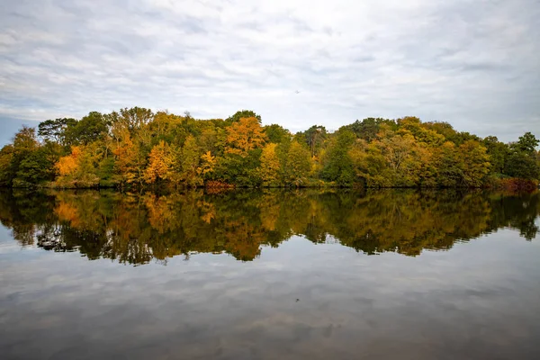 Trees wearing the autumn color leafs reflected on the calm water