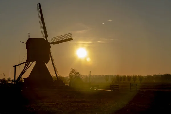 Nederlandse Landschap Vroege Ochtend Zonsopgang Silhouetten Creëren Met Achterzijde Verlicht — Stockfoto