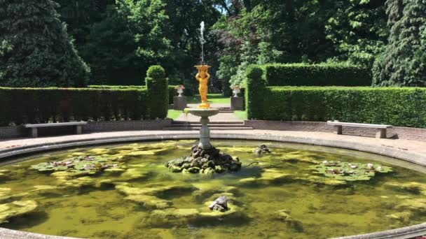 Friedliche Fontäne Wasserstrahl Der Mitte Von Seerosenblüten Bedeckt Und Von — Stockvideo