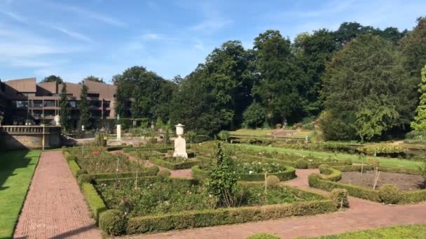 Panorama Hermoso Jardín Rosarios Rosas Bajo Cielo Azul — Vídeo de stock