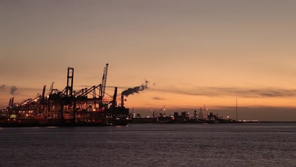 荷兰鹿特丹 在日落时分 货船在国际货运港口装载集装箱 云彩闪烁 天空鲜红鲜亮 — 图库视频影像