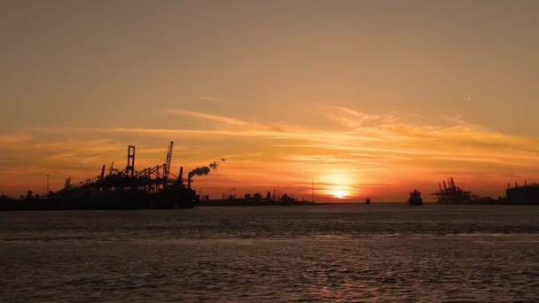 Cargo Ship Loading Containers International Freight Harbor Sunset Stratocumulus Clouds — Stock Video