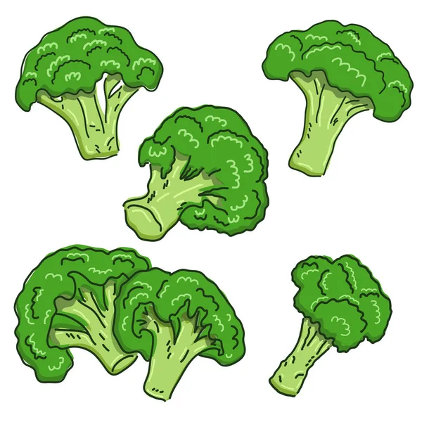 Vector Colorido Conjunto Brunches Brócoli Ilustración Dibujos Animados Para Diseños — Vector de stock